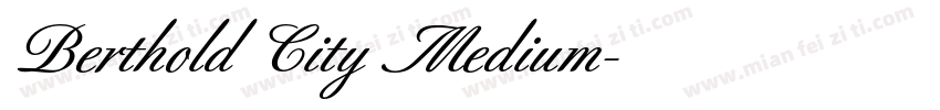 Berthold City Medium字体转换